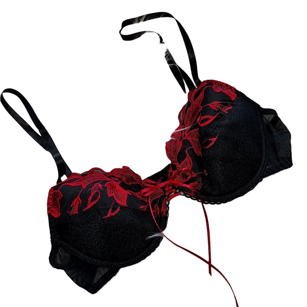 Frederick's of Hollywood Black and Red Bra